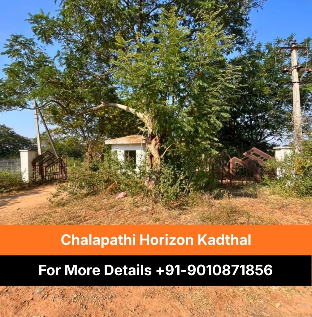 For More Details +91-9010871856 (3)