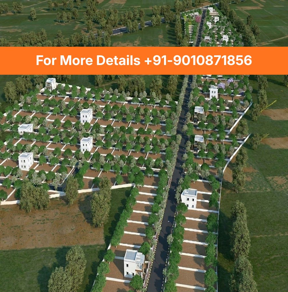 For More Details +91-9010871856