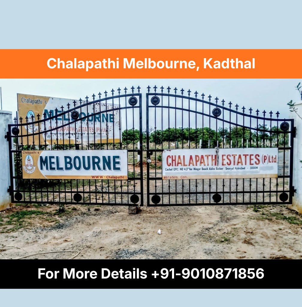 For More Details +91-9010871856